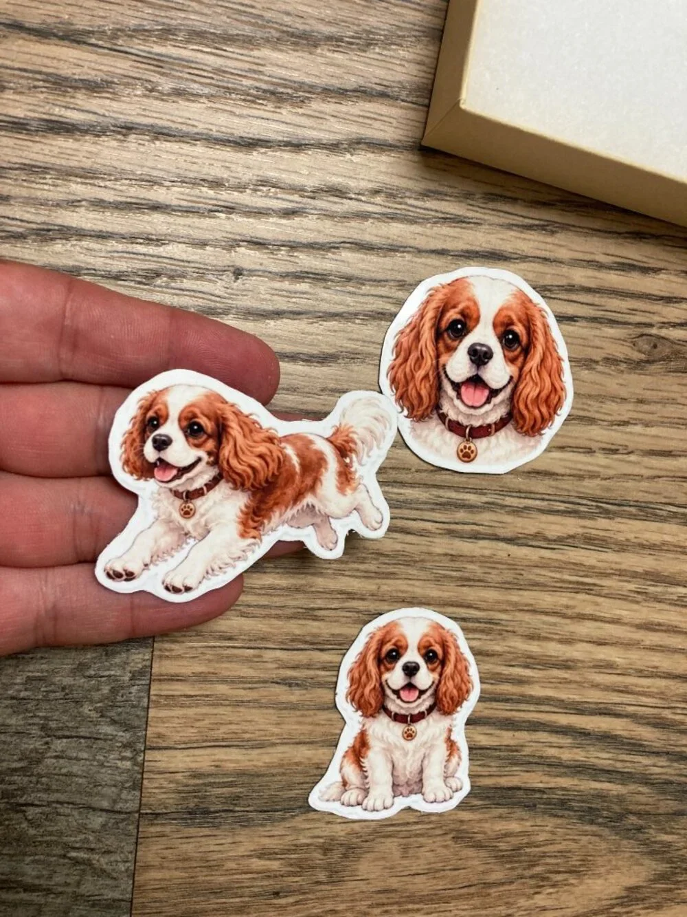3 Cavalier King Charles Spaniel Dog Magnets Puppy Refrigerator Fridge Decor Gift
